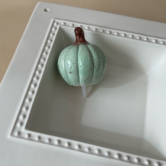 Mint Green Autumn Gourd Pumpkin Platter Decoration - Round - Picture 6 of 6